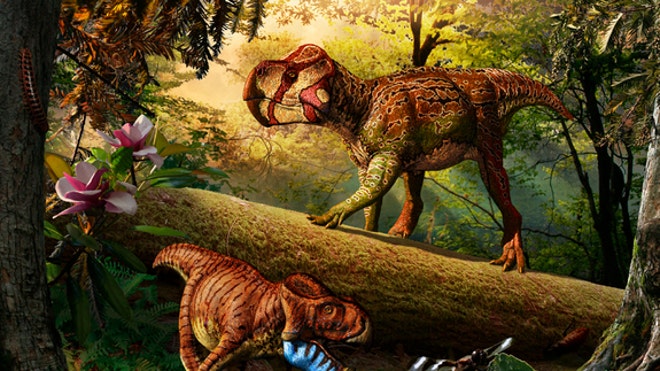 Unescoceratops-koppelhusaei-Gryphoceratops-morrisoni