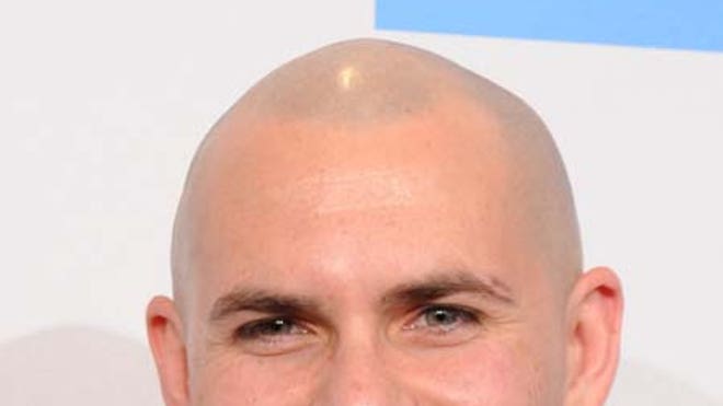 Pitbull-on-twitter