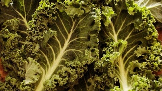 Kale.JPG