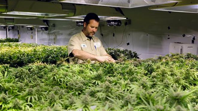 Colorado%20Pot%20Sales%202.jpg?ve=1&tl=1