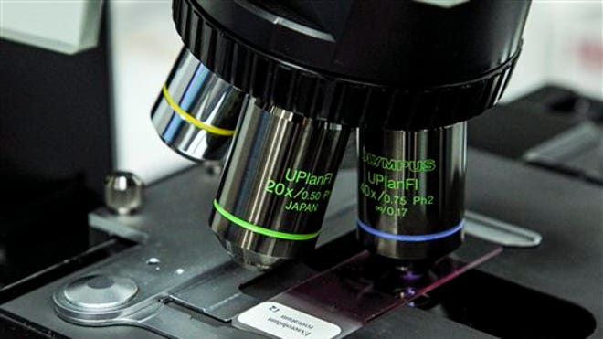 Microscope.jpg