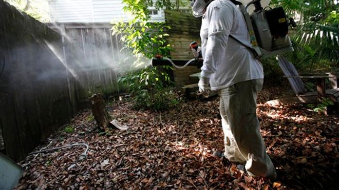 Mosquitoes.jpg