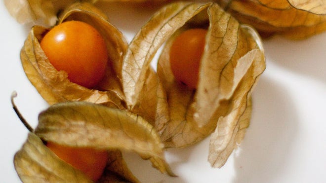 Pichuberries.JPG
