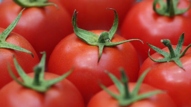 Tomatoes.jpg