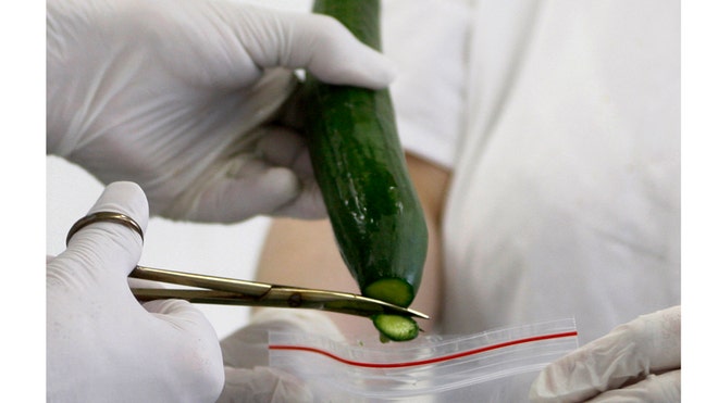 cucumbers_Czech_Republi_Sala.jpg