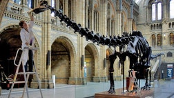 A new dinosaur species was discovered in Argentina at one of South American's most important paleontological sites.
