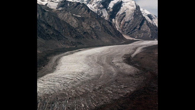 Himalayan.jpg