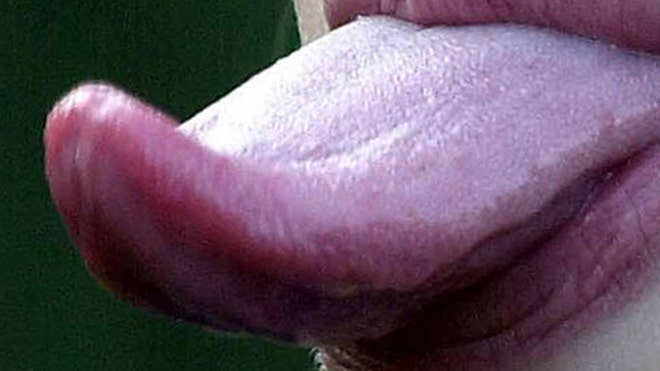 tongue