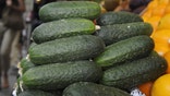 Border agents find nearly $5M in meth smuggled in cucumber, jalapeño shipments