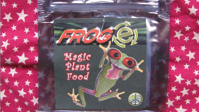 bath-salts-frog_art.jpg
