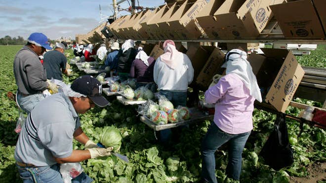 migrantworkers