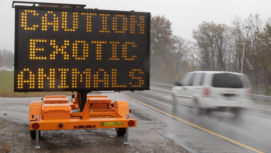 Exotic_Animals_Loose_Vros.jpg