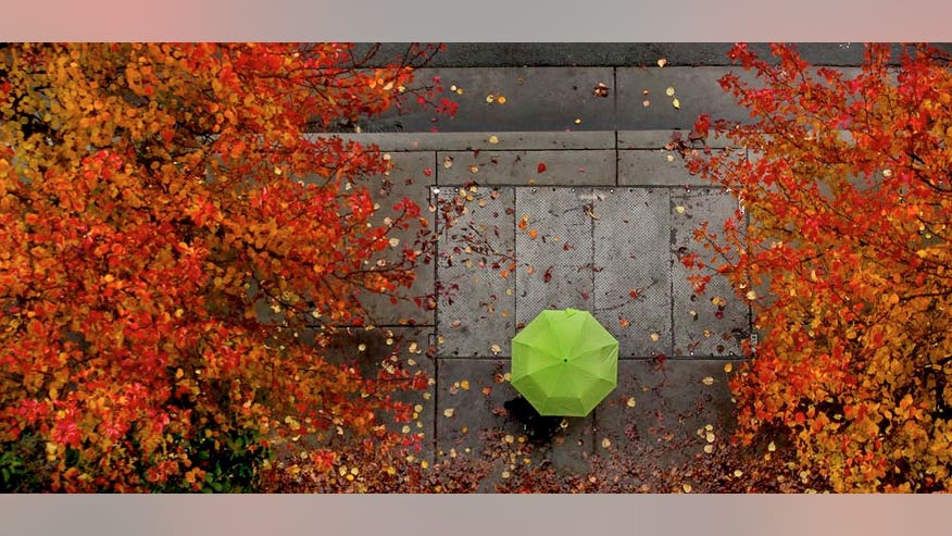 Fall Colors