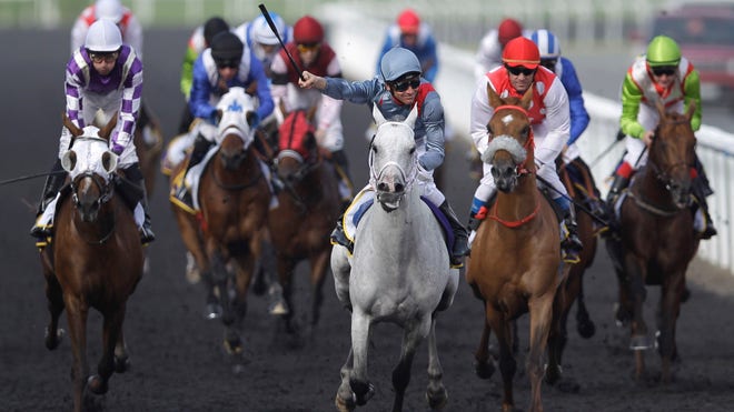 Dubai World Cup Horse Race.jpg