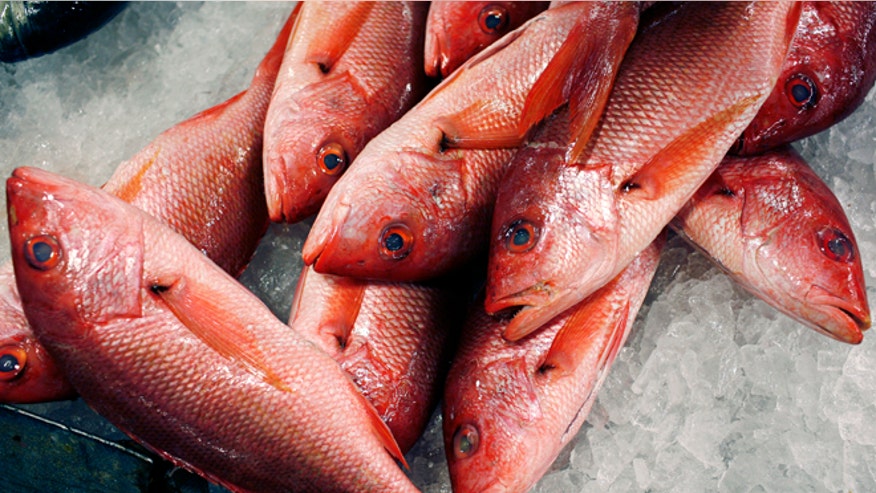 RedsnappersReuters.jpg