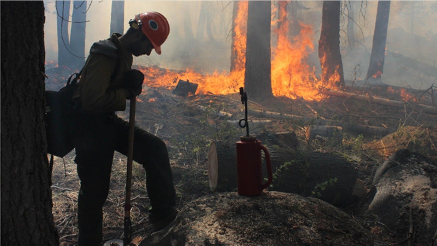 Yosemitewildfire.jpg