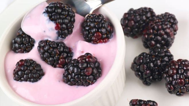 2. Organic Probiotic Yogurt