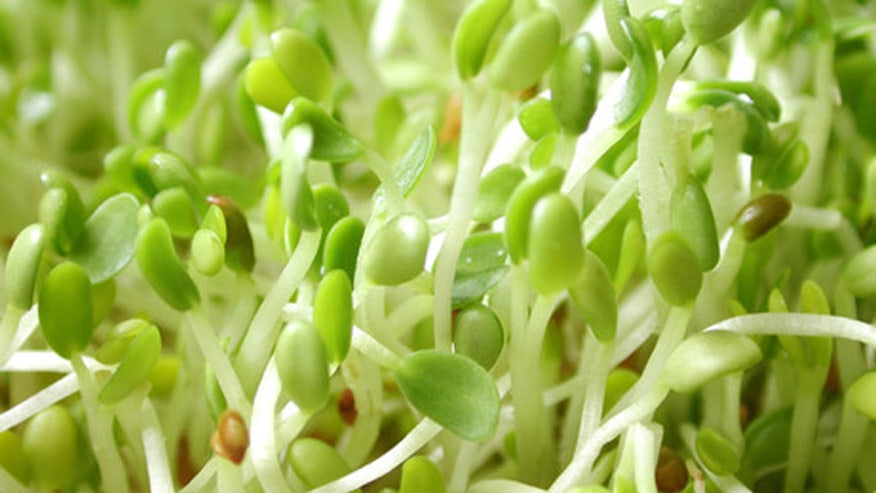 Sprouts