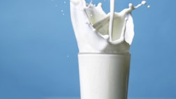 >Sure, milk does a body good, but how much is enough? Also, what type should your child be drinking? And when is water a better option? Read on to find out – the answers might surprise you