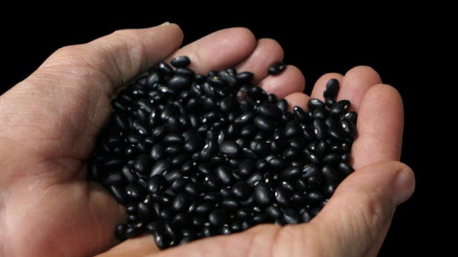 Let Beans Be Your Best Friend