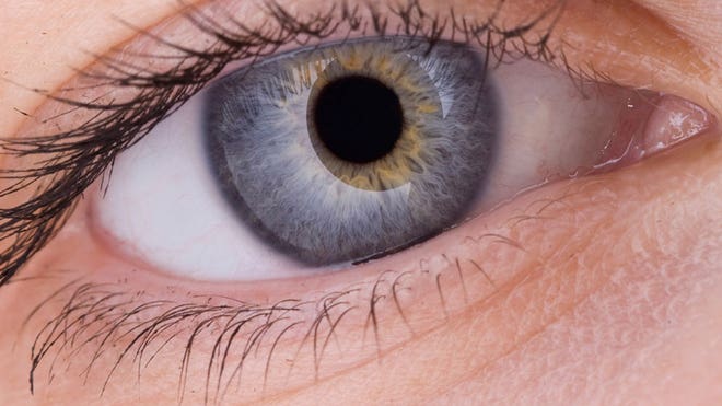 Get an Eye Exam
