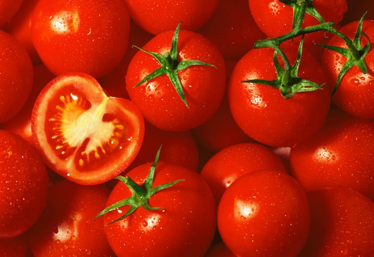 Tomatoes