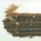 Ancient textile may contain