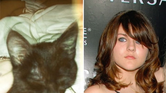 Frances-Bean-Cobain-Cat-400x300