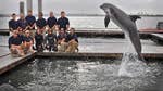 A Navy dolphin training to look for mines off the coast of San Diego found a museum-worthy th-century torpedo on the seafloor, military officials said.