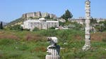   A Viennese archaeologist lecturing in North Carolina this week claims to have identified the bones of Cleopatras murdered sister or half-sister.