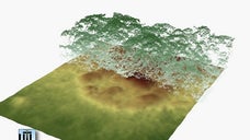New images of a possible lost city hidden by Honduran rain forests show what might be the building foundations and mounds of Ciudad Blanca, a never-confirmed legendary metropolis.