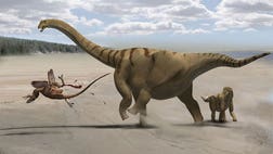   Dinosaurs as a group may have been skewed more toward giant species than modern-day creatures are, researchers say.