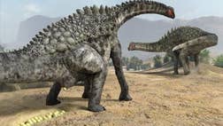   Researchers in northeastern Spain say theyve uncovered hundreds of dinosaur egg fossils, including four kinds that had never been found before in the region.