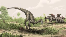 Newfound fossils hint that flowering plants arose  million years earlier than scientists previously thought, suggesting flowers may have existed when the first known dinosaurs roamed Earth, researchers say.