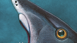 An ancient sea predator had a spiraling whorl of teeth that acted as a lethal slicing tool, according to new scans of a mysterious fossil.