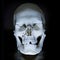 10 coolest archaeology