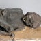 Mummy murder mystery solved: Incan woman's head smashed