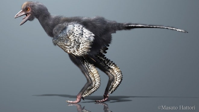 first-bird-reconstruction