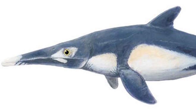 ichthyosaur-stk