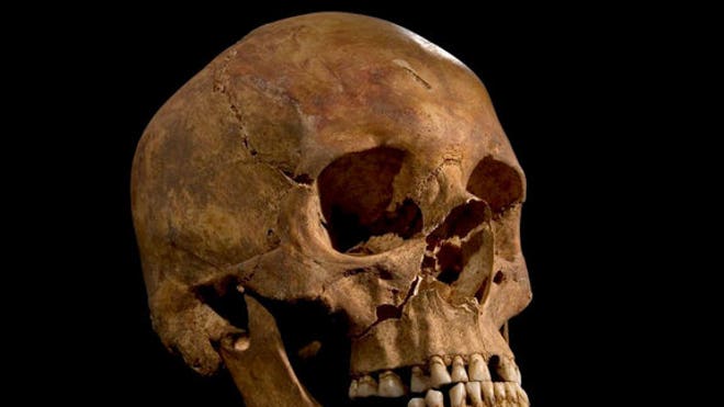 king-richard-skull