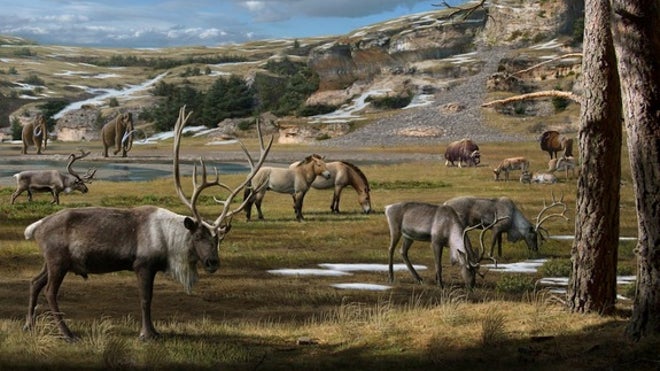 Diet of ancient herbivores sheds light on what the Arctic ecosystem used to be like Pleistocene-arctic