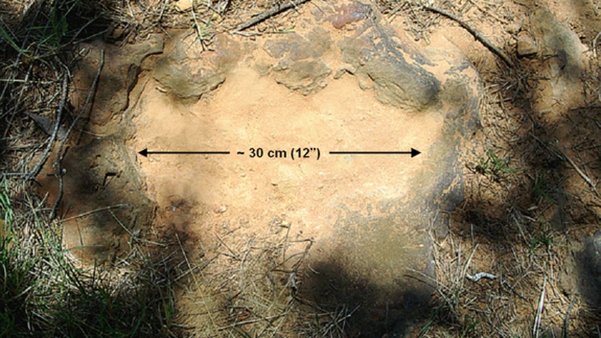 07-dino-footprint-120821