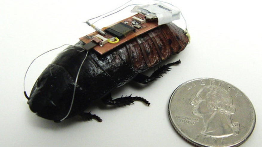 Bozkurt-Roach-1-615