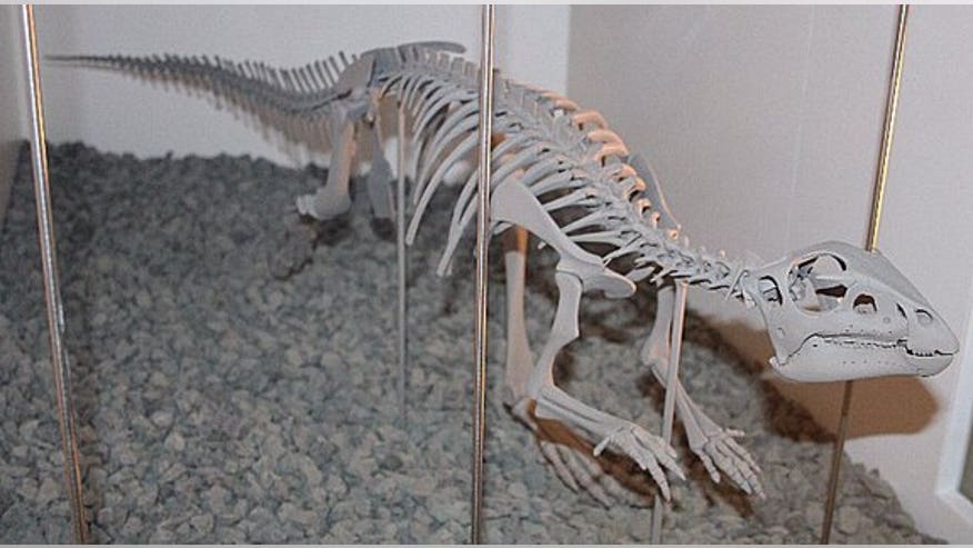 Hypsilophodon-120227