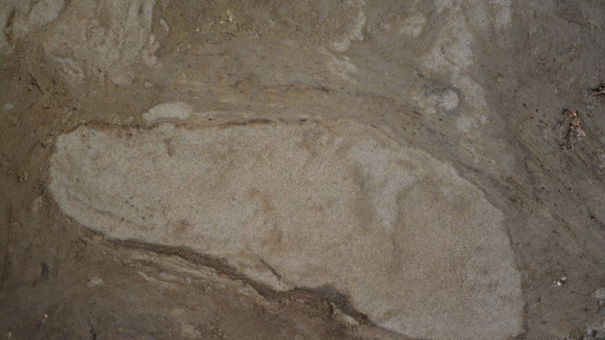 ancient-footprints-4