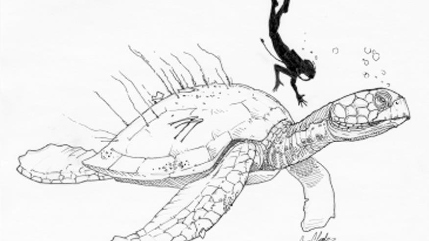 ancient-sea-turtle-sketch