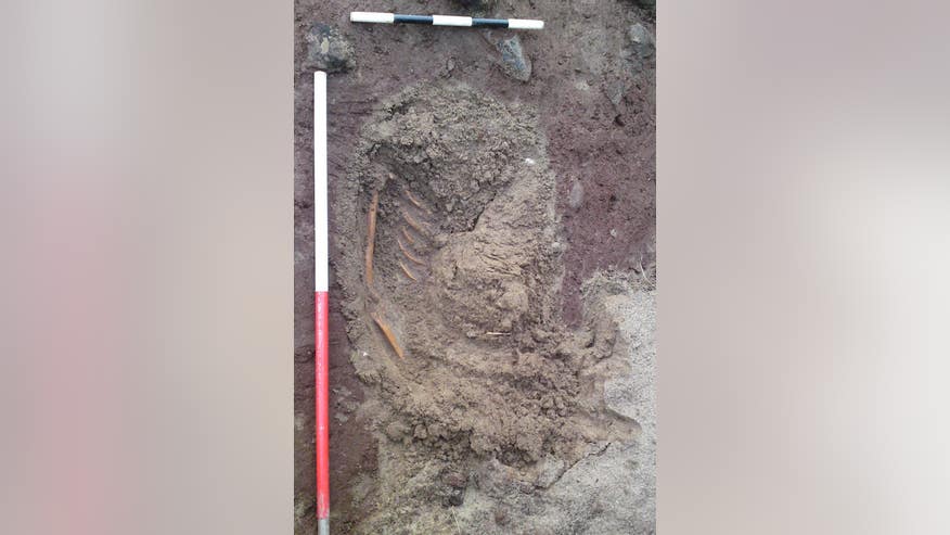 archaeology-skel