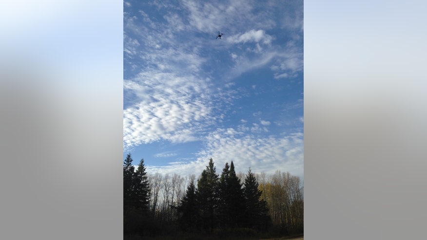 drone-bears