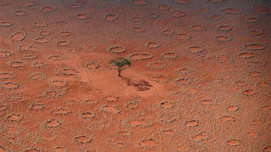 fairy-circles-1