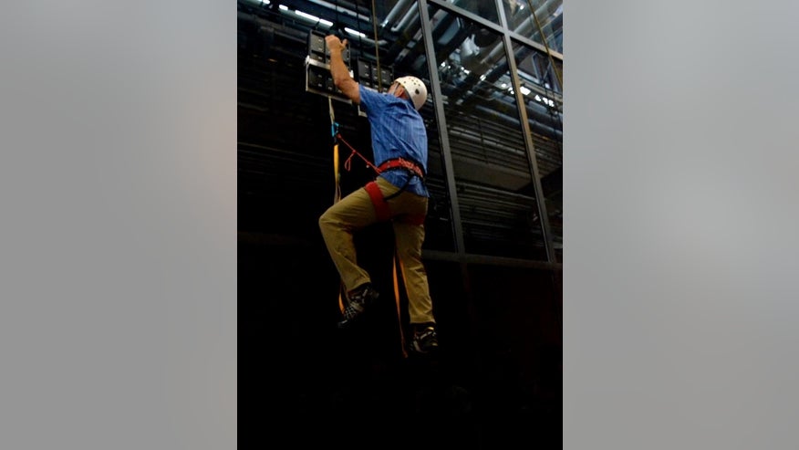 gecko-climbing-paddles